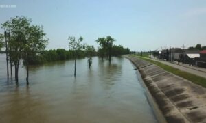 Inaction on Latrobe Levee 11