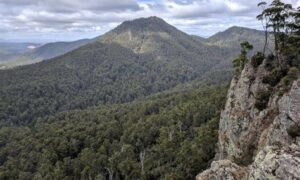 Labor Promises Amentities for Dial Range 26
