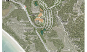 Opposition to Car Park on Threatened Species Hotspot at Freycinet 16