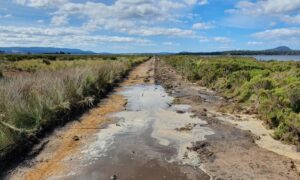 History & Remediation at Moulting Lagoon 18