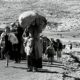 Q&A Session on Palestinian Nakba 23