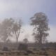 On St Patricks Plains Wind Farm ... 6