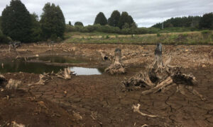 TasWater RTI on Waratah Reservoir 14