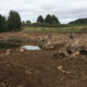 TasWater RTI on Waratah Reservoir 15