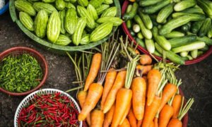 Advocating for Healthy and Sustainable Food Systems in Australia 18