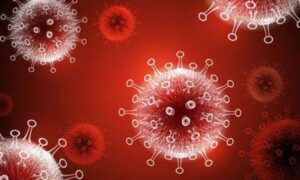 COVID-19 Outbreak in Prisons 12