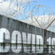 Greens Sound Alarm Over COVID in Prison 8