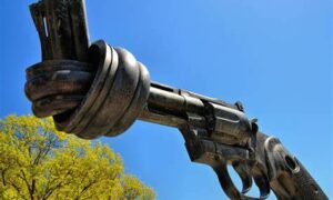 Gun Safety On Farms 12