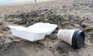 Polystyrene Tops Marine Plastic Rubbish Survey 23