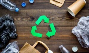 Rubbish Idea to Create More Jobs 8
