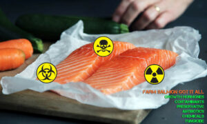 On New Salmon Expansion Plan ... 24