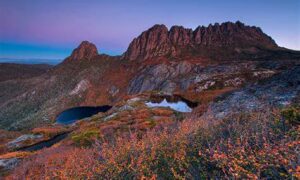 TNPA: 'Cradle Mountain Still Needs Protection' 21