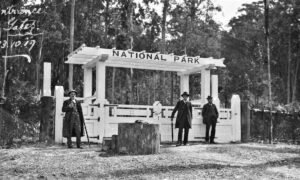 Tas That Was – Entrance Gates to Mount Field National Park (1920s) 38