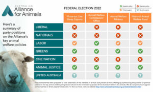 Animal Welfare Scorecard for Bass and Braddon Candidates 12