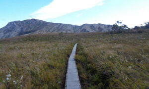 Secrecy over Aboriginal Heritage Report for South Coast Track 34