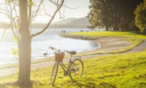 Call for Coalition to Match Local Government Community Infrastructure Funding 20