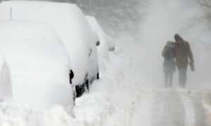 Cold Snap Looms 19