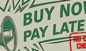 Call for Action on BNPL, Payday Lending 11
