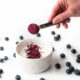 Launceston to be Base for Food Innovation Program 14