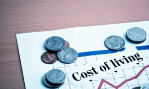 Labor Budget Critique 9