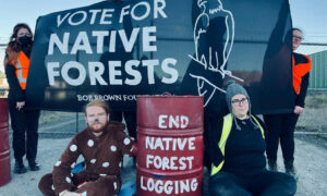 End Logging Petition Delivered to Morrison & Albanese 15