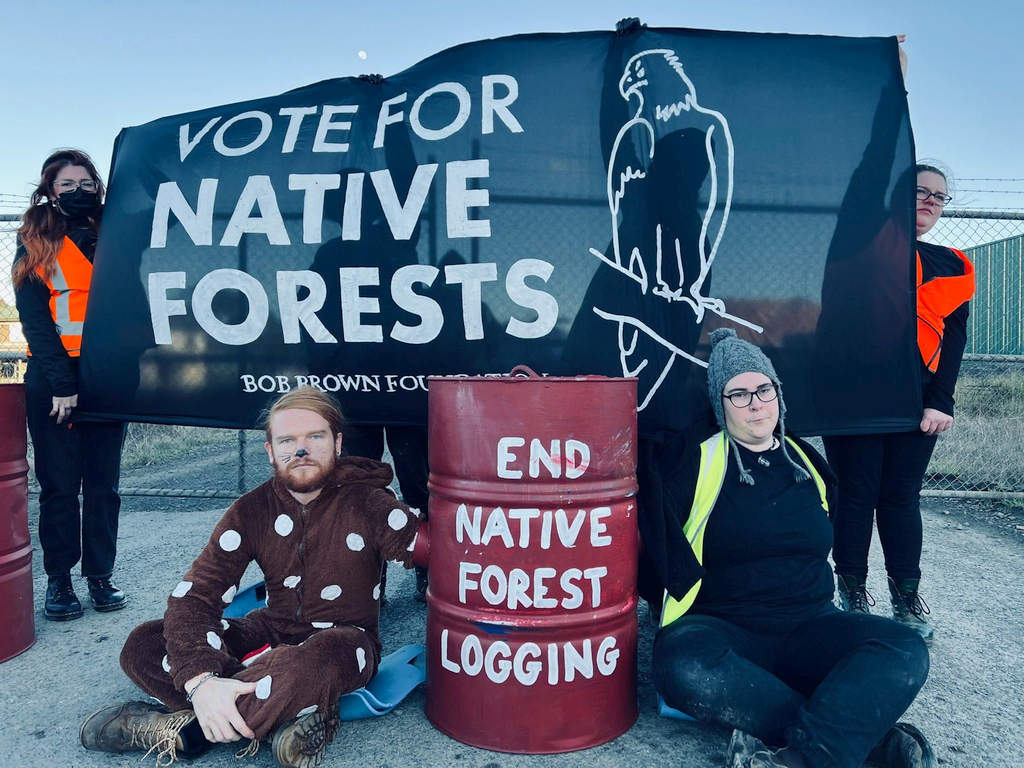 End Logging Petition Delivered to Morrison & Albanese 1