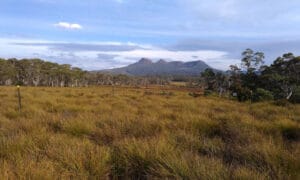 Prescribed Burning and Risk in Tasmania 18
