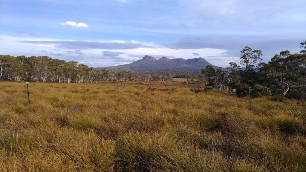 Prescribed Burning and Risk in Tasmania 5