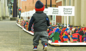 Upcoming Australian Antarctic Festival 14