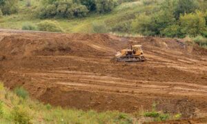 TCT Defeats Forest Clearing Plan At Anson's Bay 25