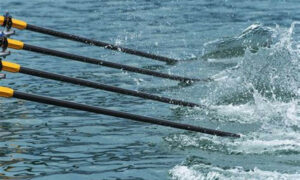 Rowing Tasmania Apologises for Handling of Rape Incident 12