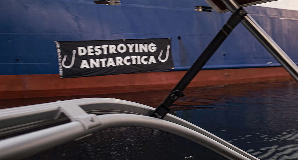 Protest Against Antarctic Longliner 5