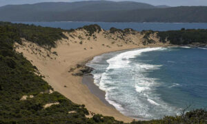 TNPA Wants Extension to Tasman National Park Near Crescent Bay 29