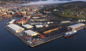 Wilkie Blasts State Govt over Macquarie Point Inaction 14