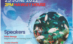 Hawley Beach Meeting on Bass Strait 20