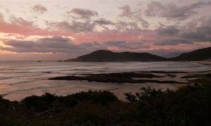 TWS: Parks EoI Changes Must Go Further 5