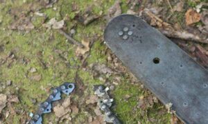 On 'Wood Banks' Becoming Reserves ... 5