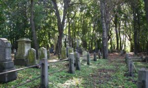 Govt Withdraws COVID Measures 24