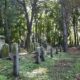 Govt Withdraws COVID Measures 25