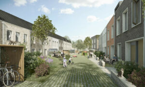 Alternative Housing Models for Precariously-housed Elderly 10