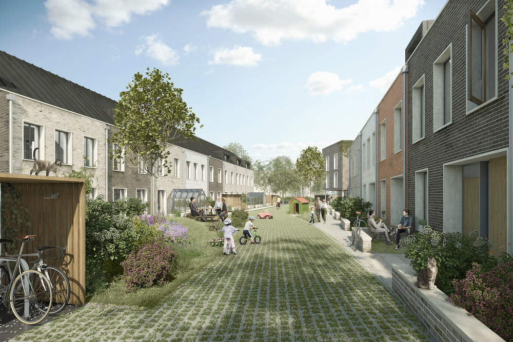 Alternative Housing Models for Precariously-housed Elderly 1