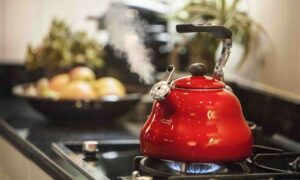 Cooking with Gas not a Healthy Choice 12