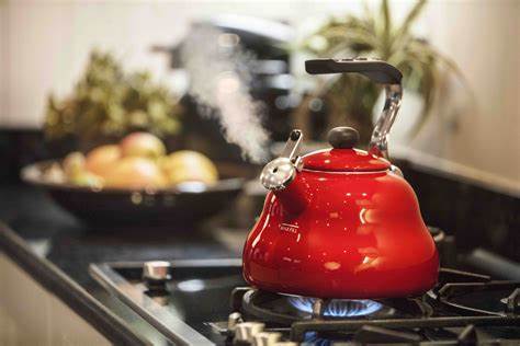 Cooking with Gas not a Healthy Choice 1