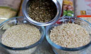 Can you Eat to Save the Climate? 16