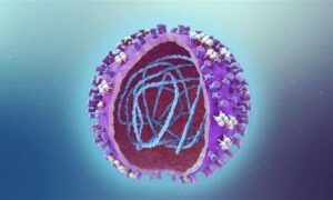Record 65K Flu Cases in May 24