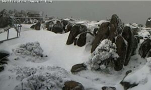 Stay Safe on kunanyi 23