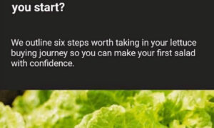 How to Save for your First Lettuce 21