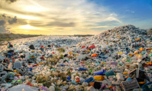 Plastic Free July 25