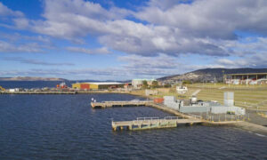 Hobart Show in Transition 5