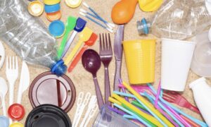 Moving Away from Single Use Plastics 28